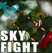 Схватка в Небе (Sky Fight)