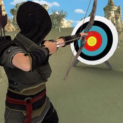 Эксперт по стрельбе из лука (Archery Expert 3D)