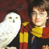 Тест: Знаешь ли ты кому принадлежал это в Гарри Поттере?