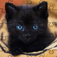 Кошки: Пазл (Jigsaw Puzzle: Cats)